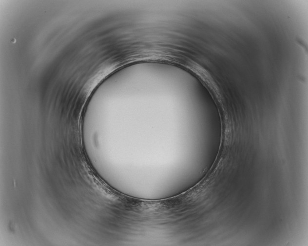 X0000100381242200806201643