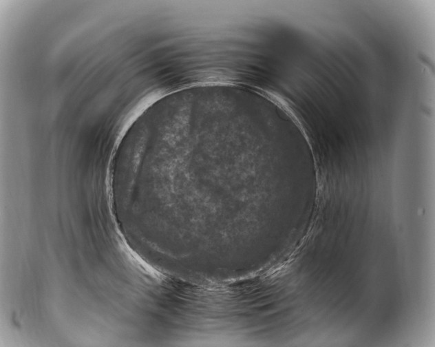 X0000100381243200806201643