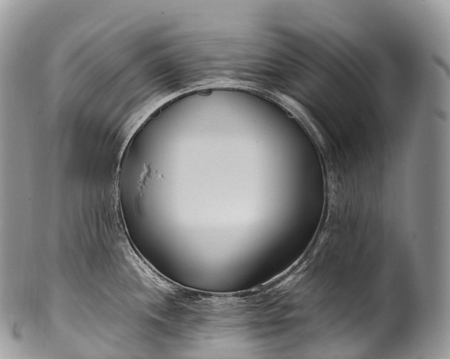 X0000100381244200806201643