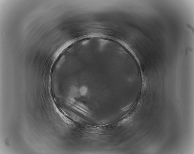 X0000100381245200806201643