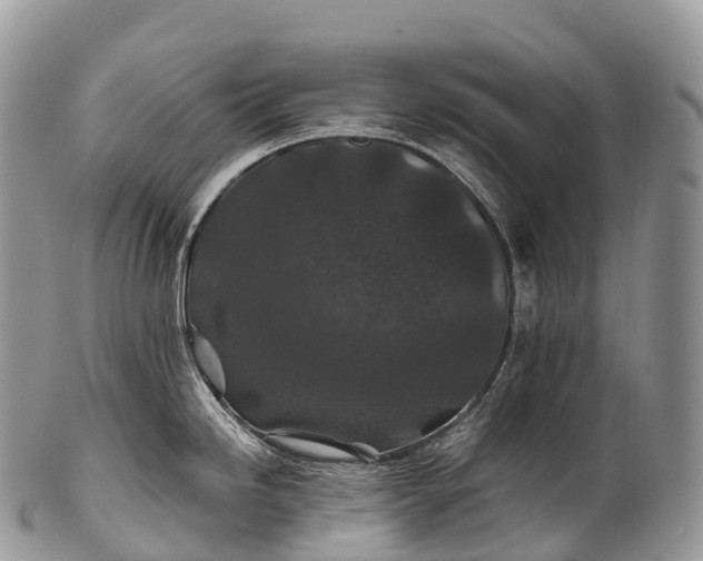 X0000100381246200806201643