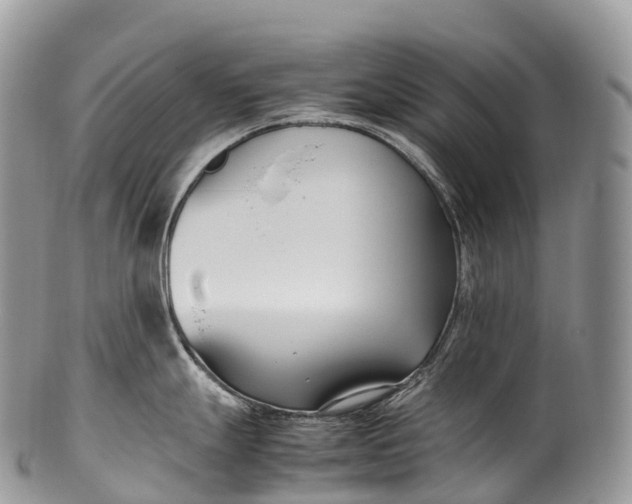 X0000100381247200806201643