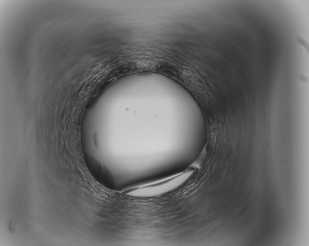 X0000100381249200806201642