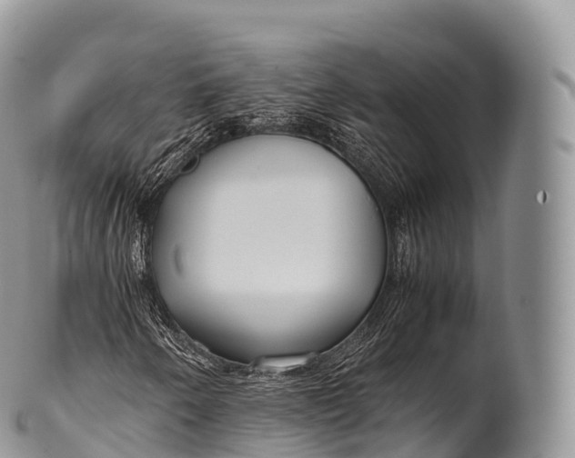 X0000100381250200806201642