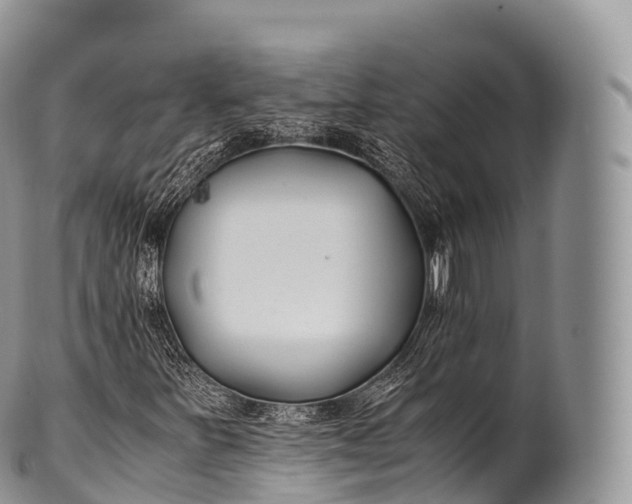 X0000100381251200806201642