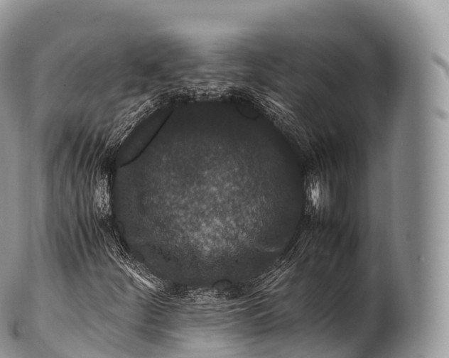 X0000100381252200806201642