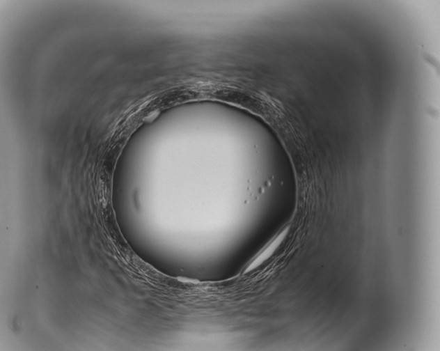 X0000100381253200806201642