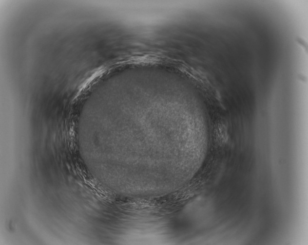 X0000100381254200806201642