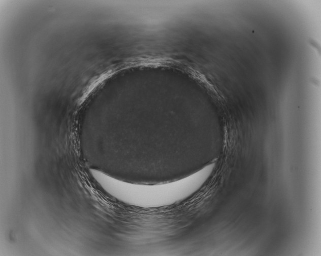 X0000100381256200806201642