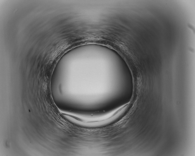 X0000100381257200806201642