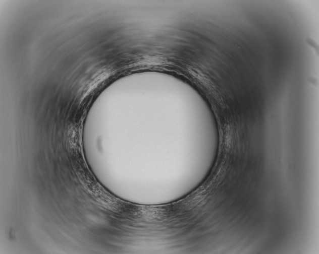 X0000100381258200806201642