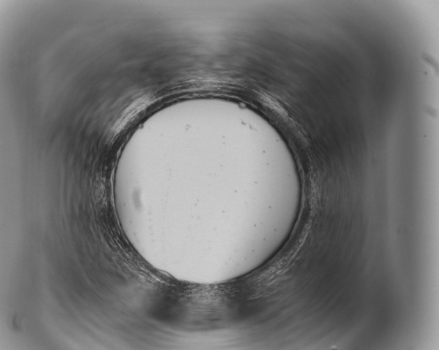 X0000100381259200806201642