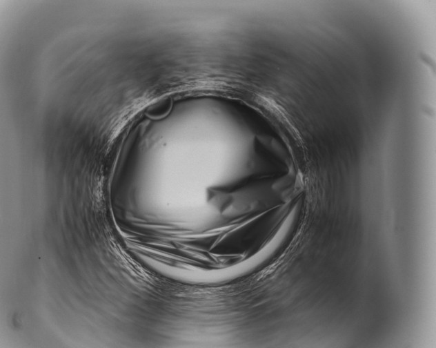 X0000100381260200806201642