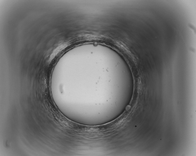 X0000100381261200806201642