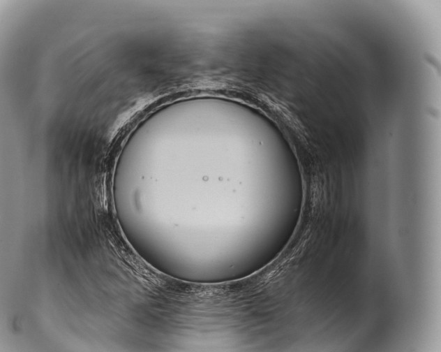 X0000100381262200806201642