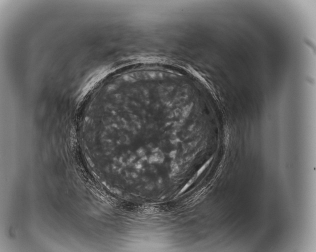 X0000100381263200806201642