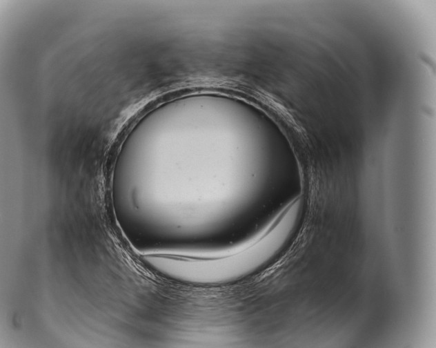 X0000100381264200806201642