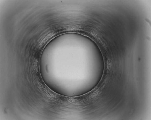 X0000100381265200806201642