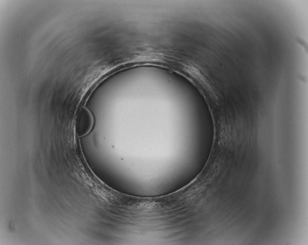 X0000100381268200806201642