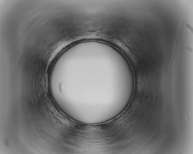 X0000100381270200806201642