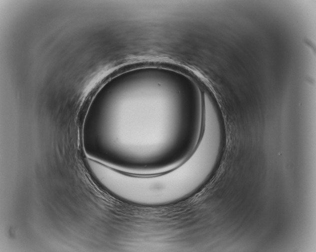 X0000100381271200806201642