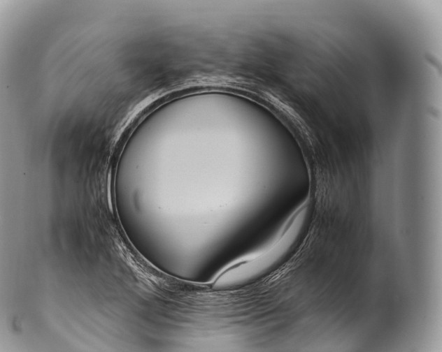 X0000100381272200806201642