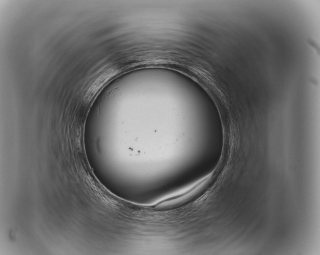 X0000100381273200806201642