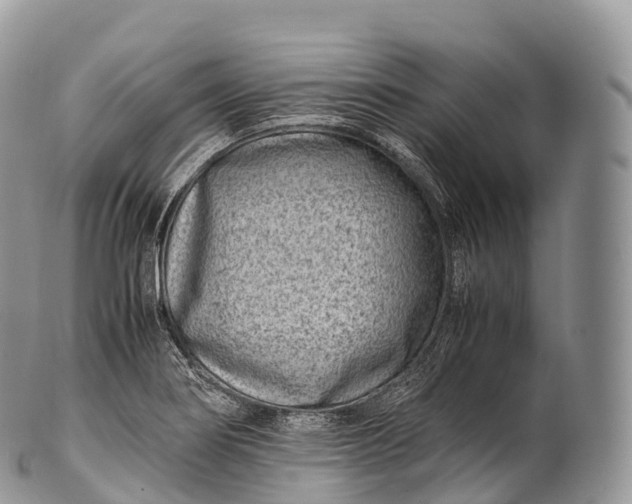 X0000100381274200806201642
