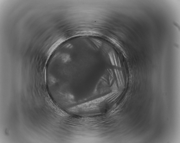 X0000100381275200806201642