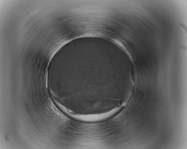 X0000100381276200806201642