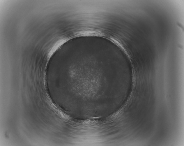 X0000100381277200806201642