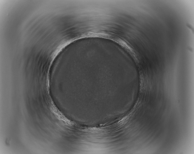 X0000100381280200806201642