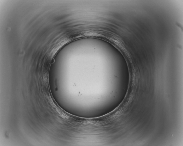 X0000100381281200806201642