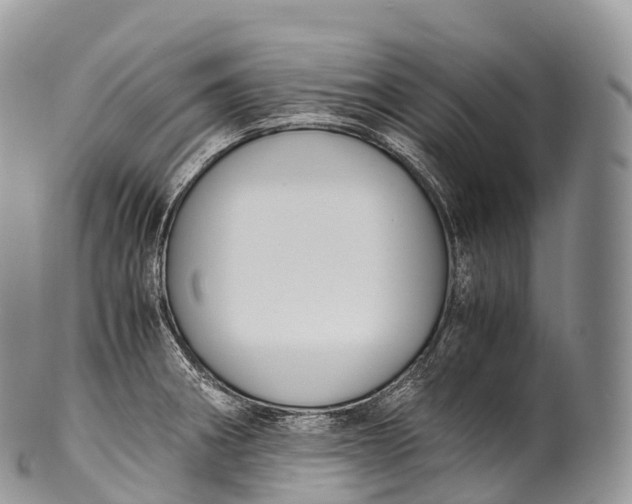 X0000100381282200806201642