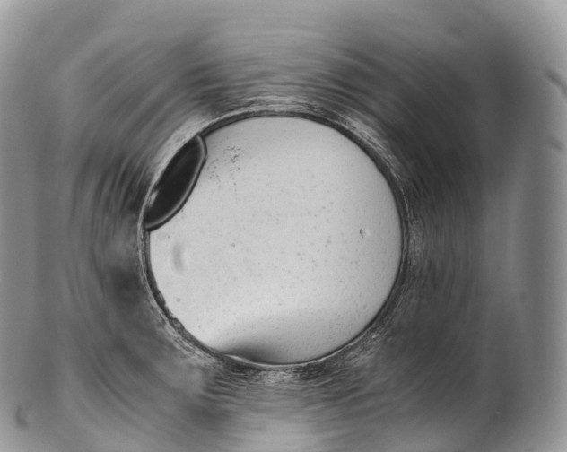 X0000100381283200806201642