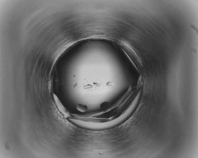 X0000100381284200806201642