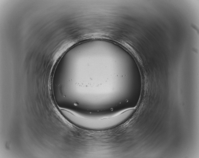 X0000100381285200806201642