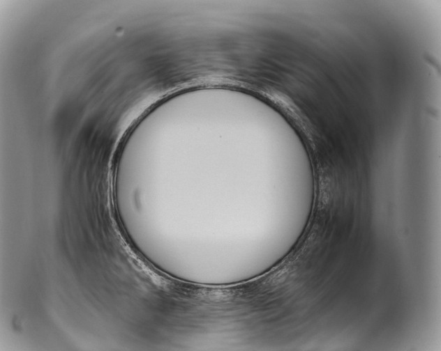 X0000100381286200806201642