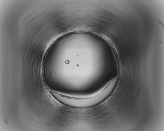 X0000100381288200806201642