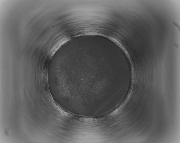 X0000100381289200806201642