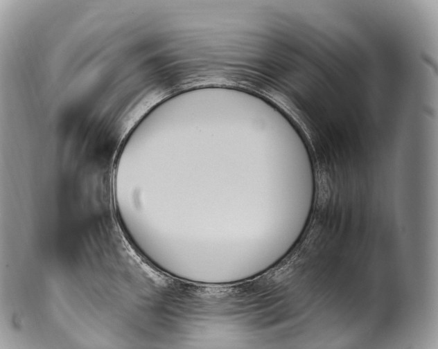 X0000100381290200806201642