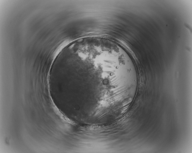 X0000100381291200806201642