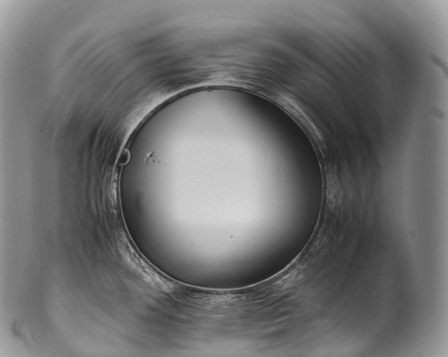 X0000100381292200806201642