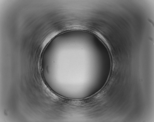 X0000100381293200806201642