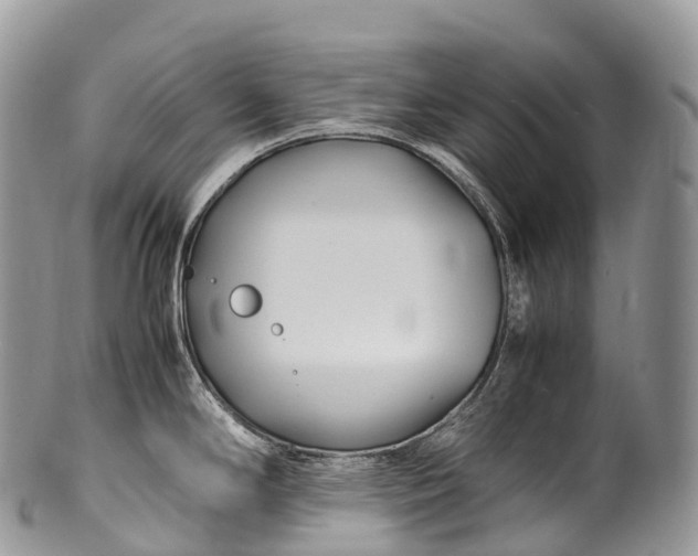 X0000100381294200806201642