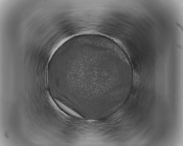 X0000100381295200806201642