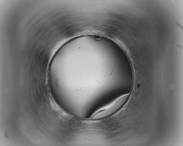 X0000100381296200806201642