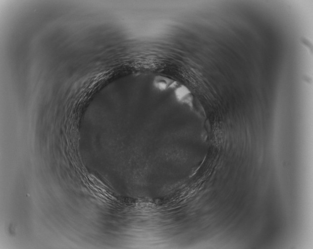 X0000100381297200806201641