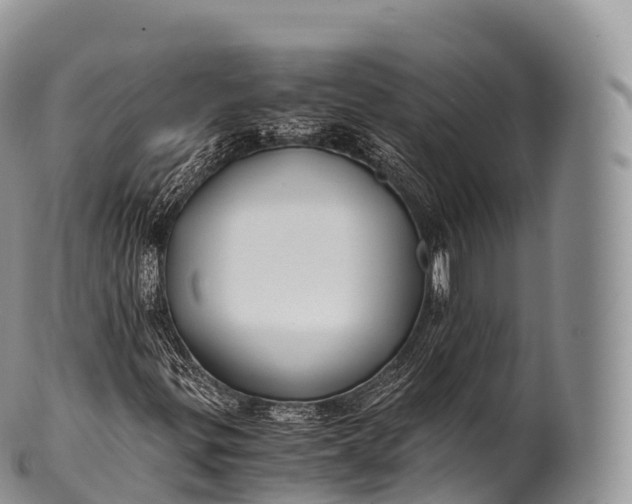 X0000100381299200806201641