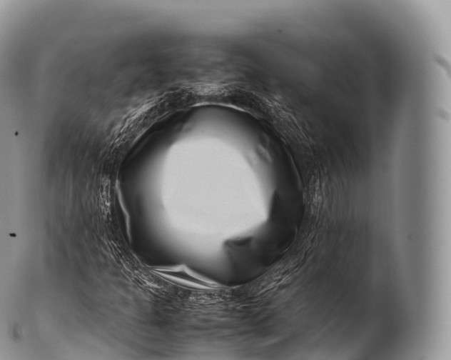 X0000100381301200806201641